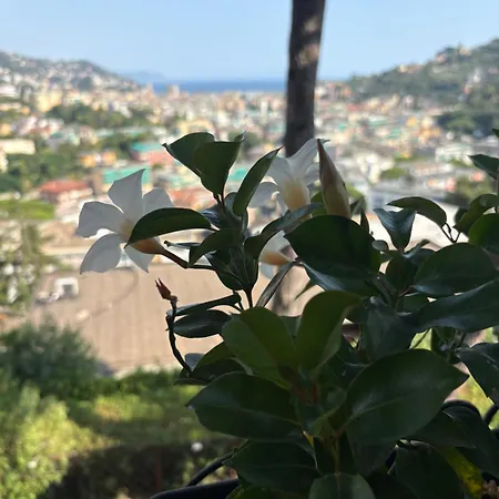 Rappallina Bilocale Vista Mare Con Piscina Rapallo